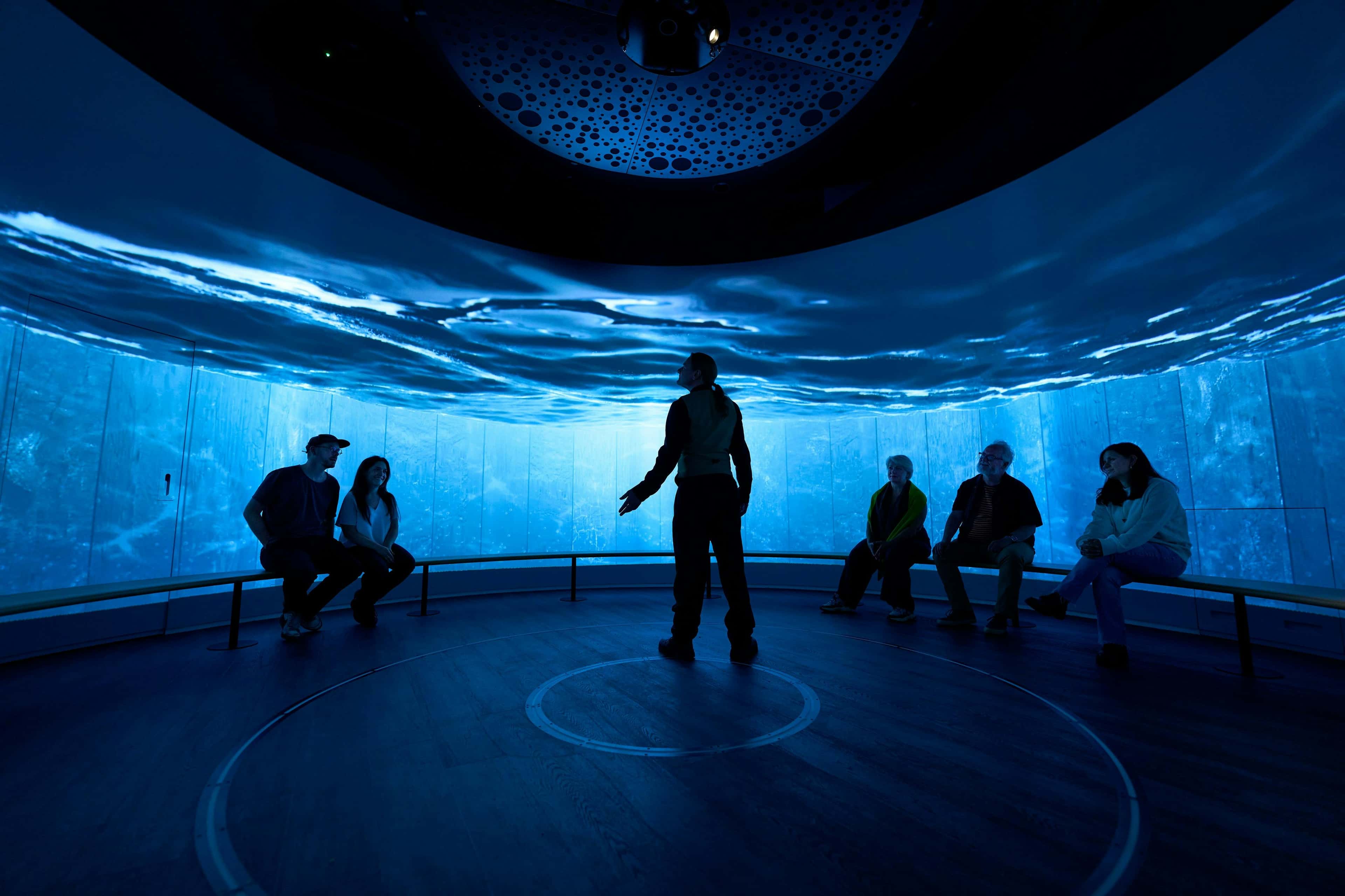 Gallery image 2