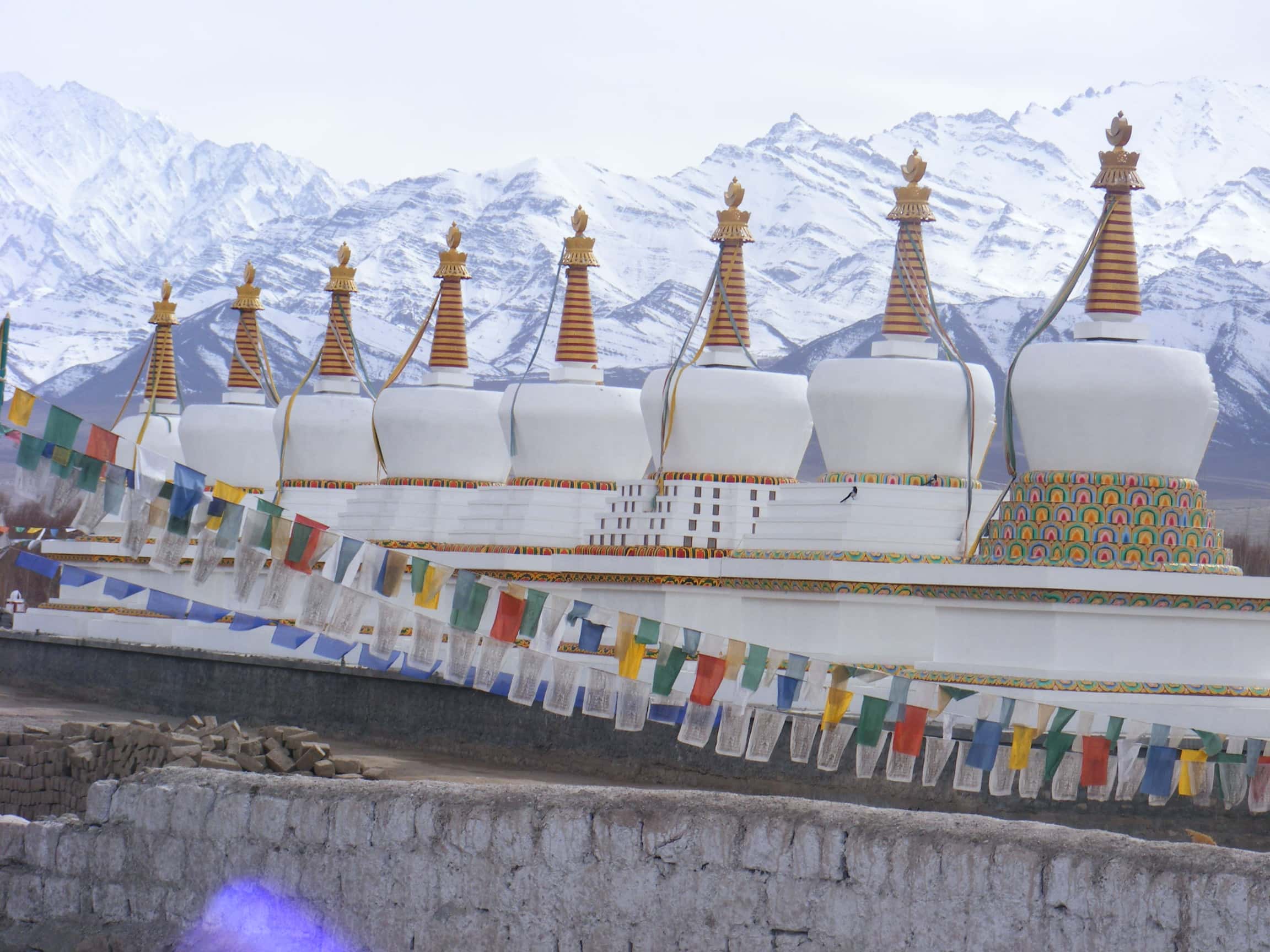 Gallery image 4