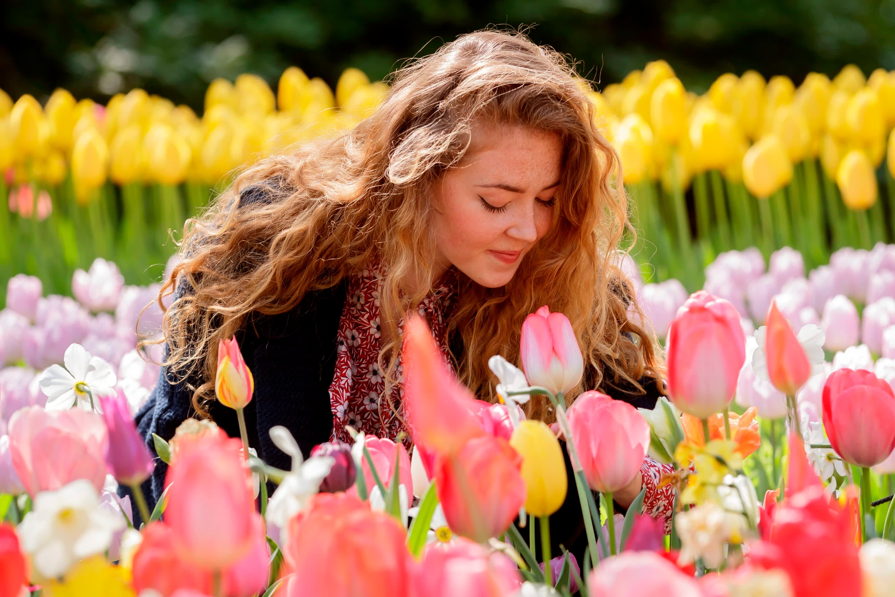 Keukenhof Gardens Entry Tickets