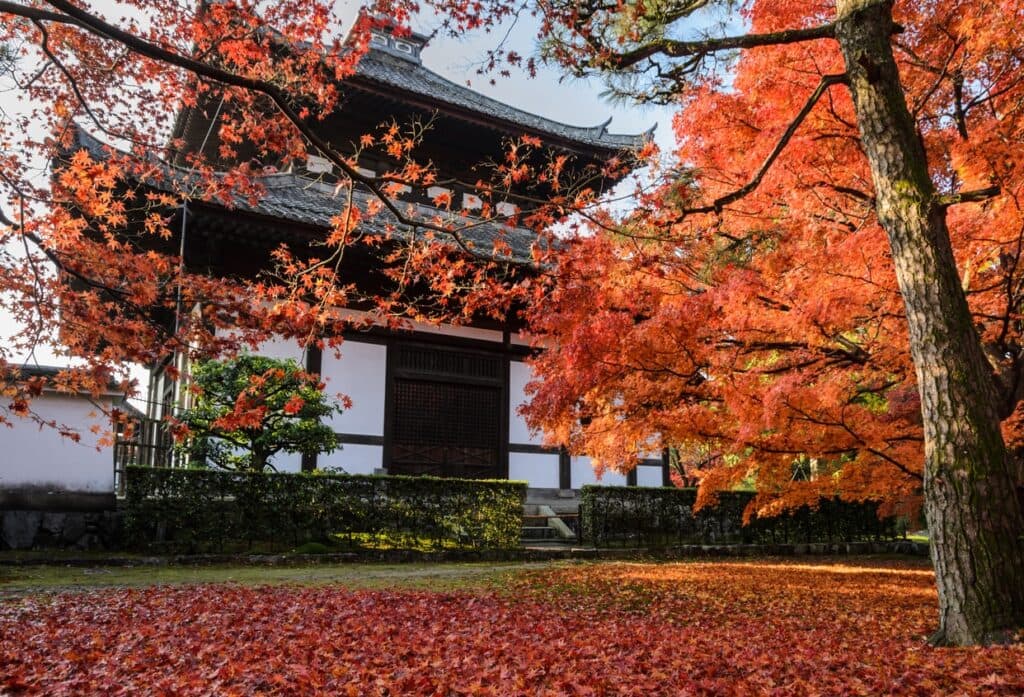 Japan Kyoto Tofukuji Temple Entry Tickets