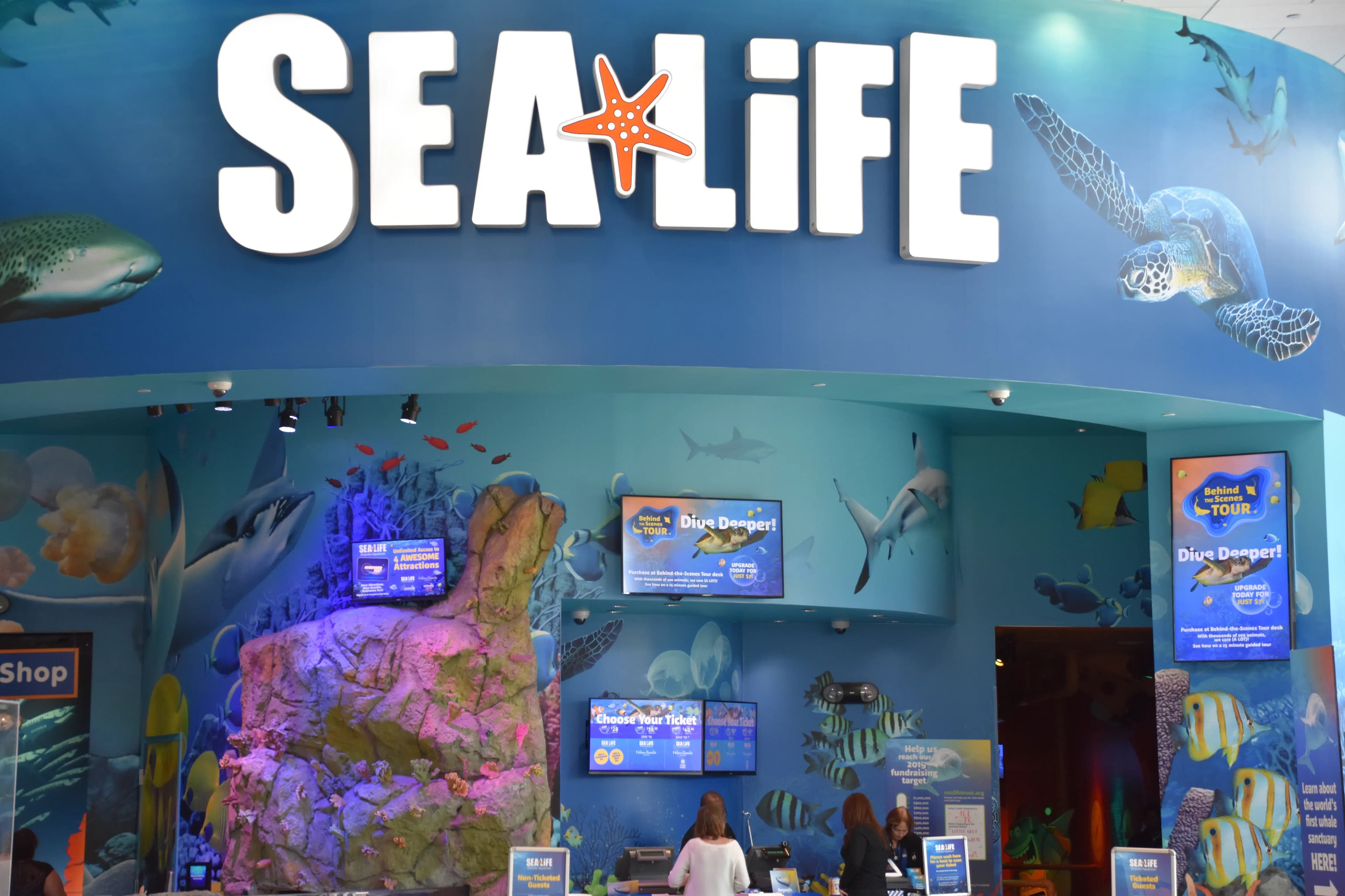 Featured destination