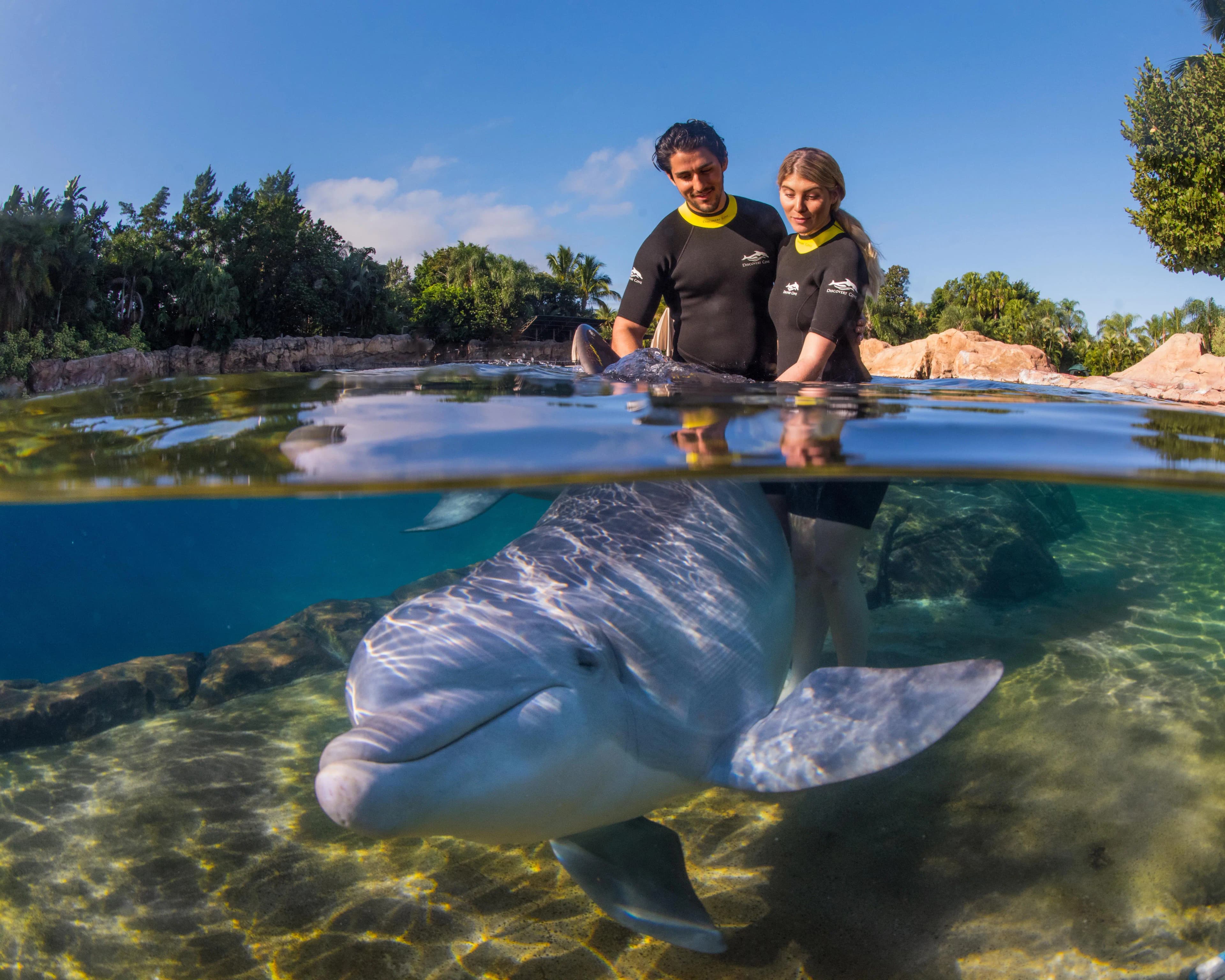 USA Orlando Discovery Cove Orlando Entry Tickets