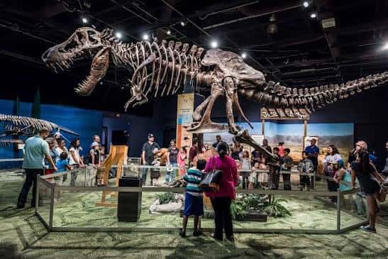 Gallery image 5