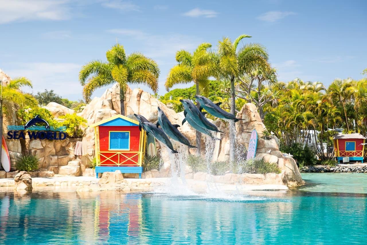 Sea World Gold Coast Entry Tickets