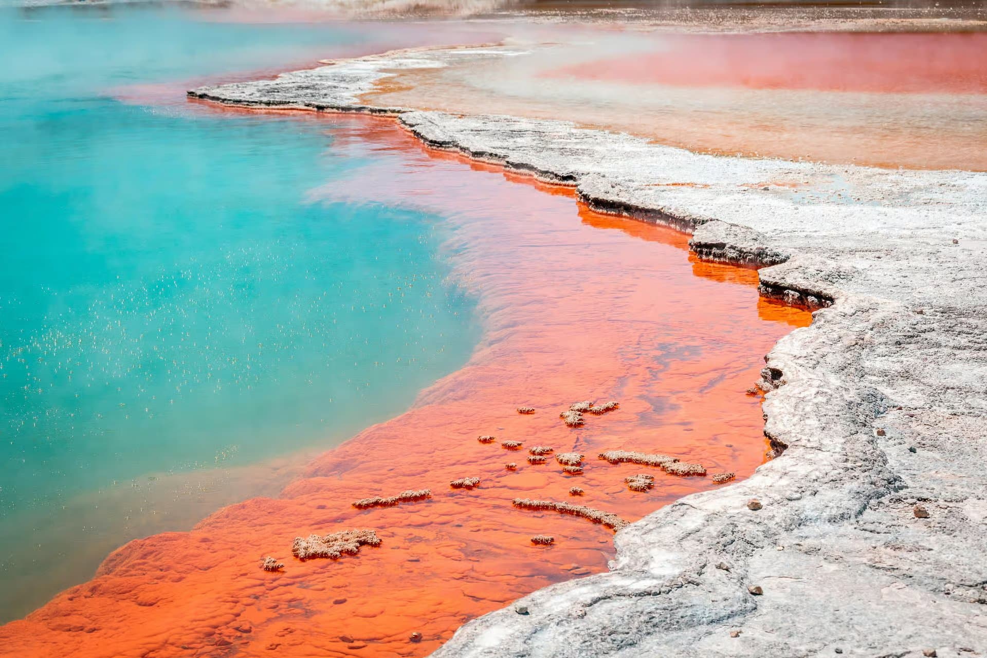 Waiotapu Thermal Wonderland Entry Tickets