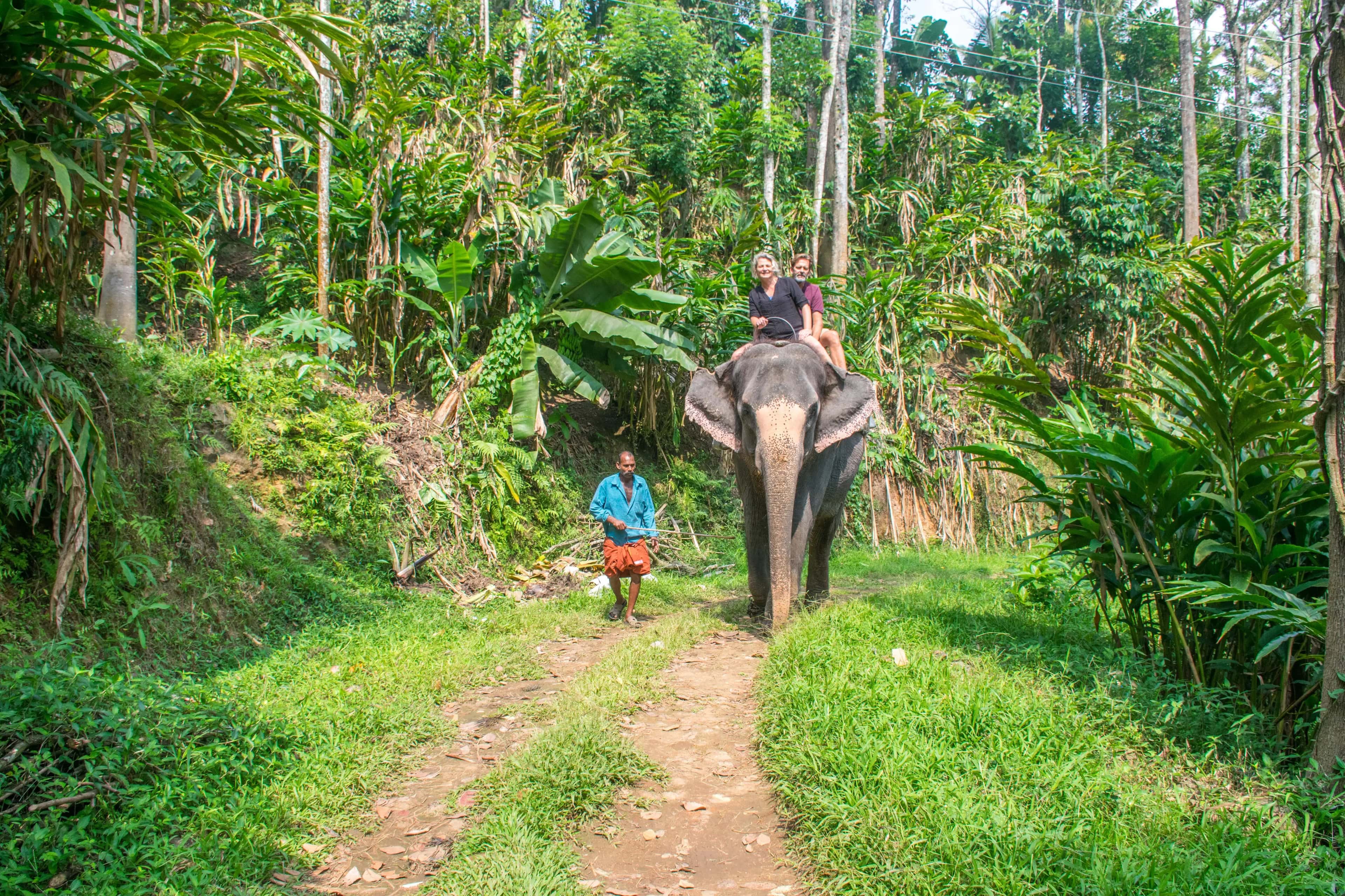 Gallery image 4
